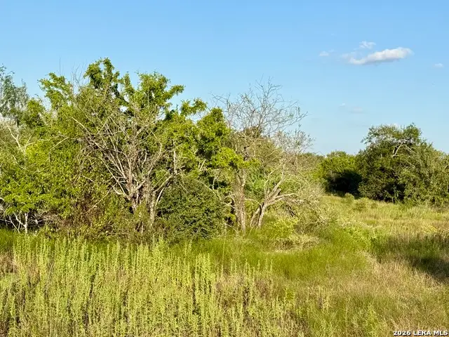 0 Cr 132, Kenedy, TX 78119 - #2
