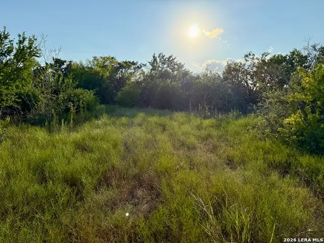 0 Cr 132, Kenedy, TX 78119 - #3