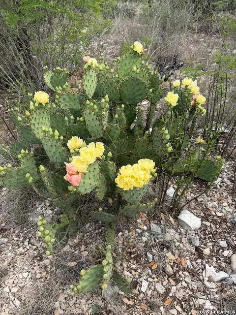 179 Rr 334, Brackettville, TX 78832 - #2