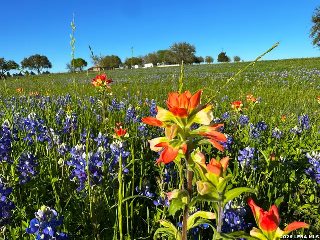 9058 Sam Houston, Brenham, TX 77833 - #3