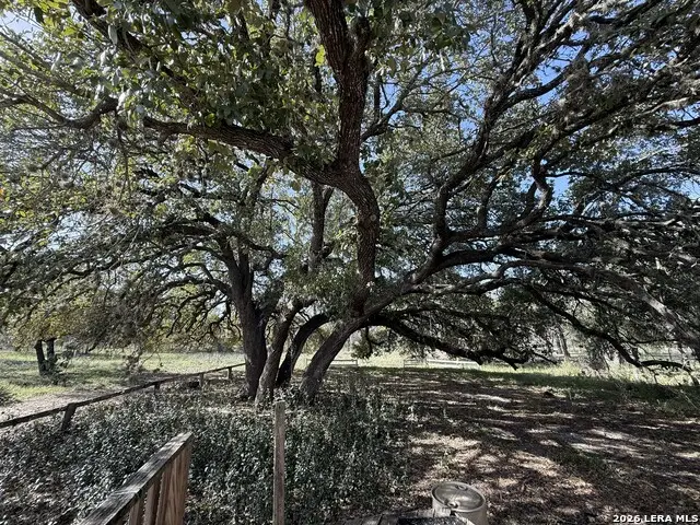 21480 Applewhite, San Antonio, TX 78264 - #1