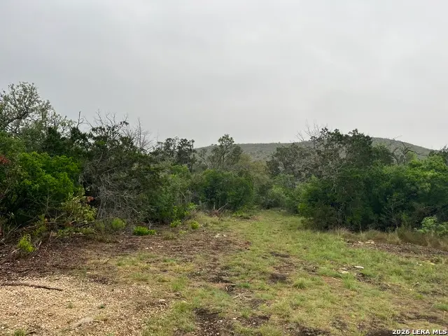 111 Pr 3325, Utopia, TX 78838 - #3
