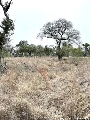 1310 Cutler, New Braunfels, TX 78132 - #1