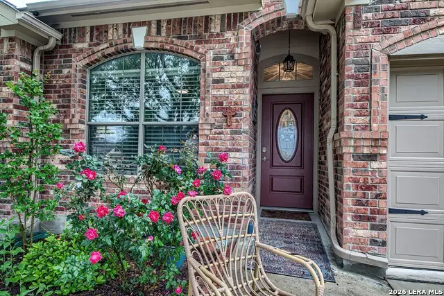 234 Pecan Gap, New Braunfels, TX 78130 - #3