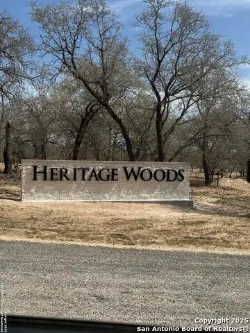 128 Syrah St, La Vernia, TX 78121 - #2