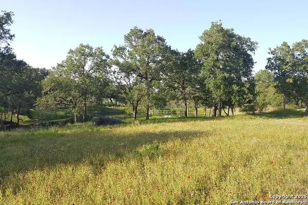 173 Woodlands Drive, La Vernia, TX 78121