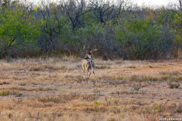 FM 1572 Hwy 131, Spofford, TX 78832