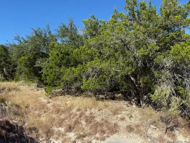 LOT 37 Golf Course Dr. E, Spring Branch, TX 78070 - #3