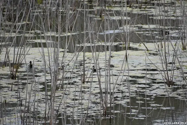 000 Koon Hill Rd., Fowlerton, TX 78021 - #3