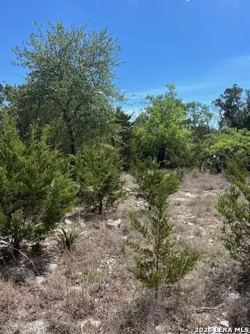 12 Ledgestone Place, Boerne, TX 78006 - #3