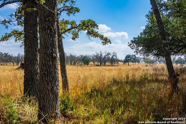 LOT 12 Turn Out Lane, Harper, TX 78631