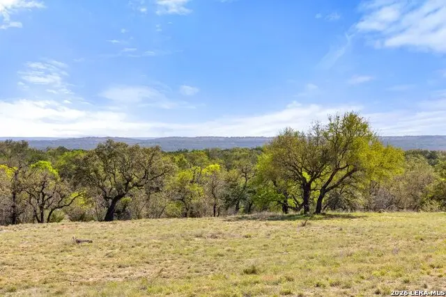 19 Stone Ridge Mountain Dr, Round Mountain, TX 78663 - #2
