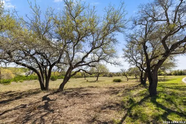 19 Stone Ridge Mountain Dr, Round Mountain, TX 78663 - #3