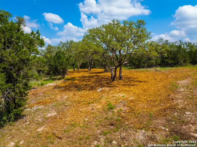 5922 Camp Creek Dr, New Braunfels, TX 78132 - #3