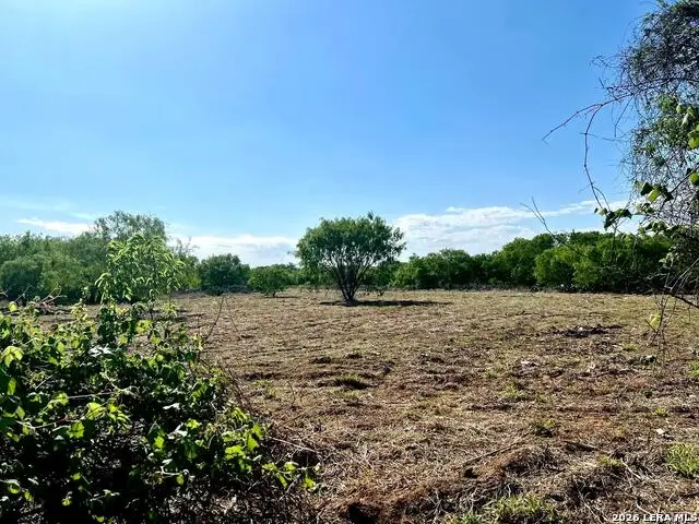 5967 Granato Rd, Poteet, TX 78065 - #2