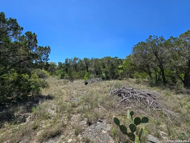 102 County Road 2732, Mico, TX 78056 - #3