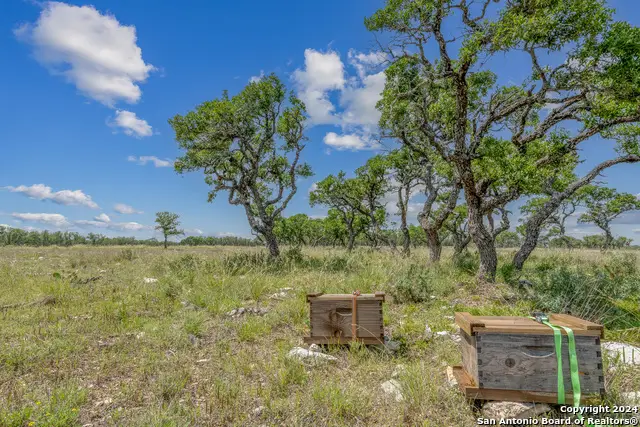 100 Spring Crossing, Junction, TX 76849 - #1