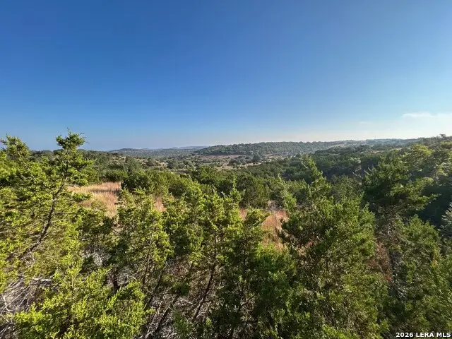 2089 Sanctuary Ln, Blanco, TX 78606 - #2