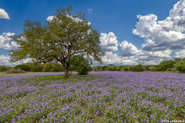 2229 County Road 390, Camp Wood, TX 78833 - #2