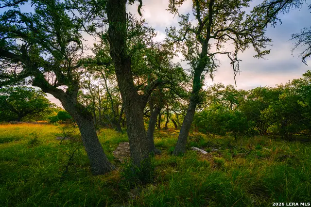 000 Rambling Oaks Ranch, Spring Branch, TX 78070 - #3