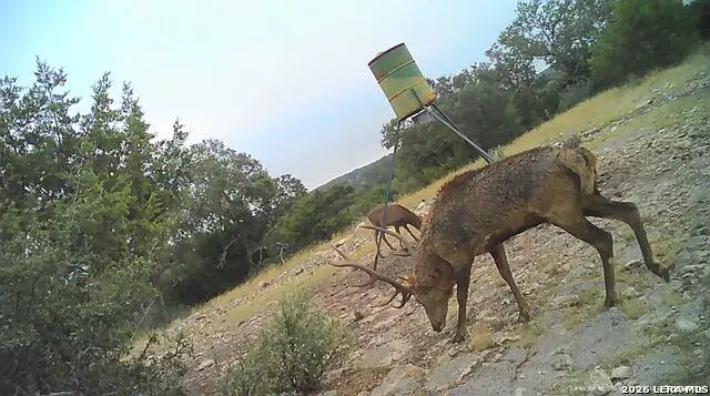 1 AND 2 Texana Oaks Ranch Hway 377, Rocksprings, TX 78880 - #3