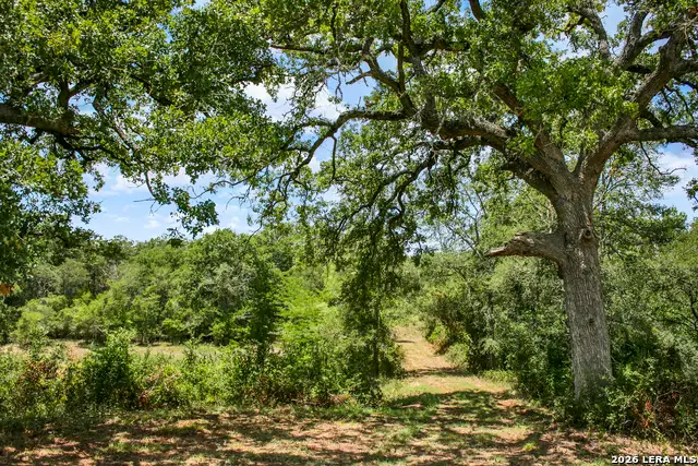 00 Whitetail Dr, Cedar Creek, TX 78612 - #3