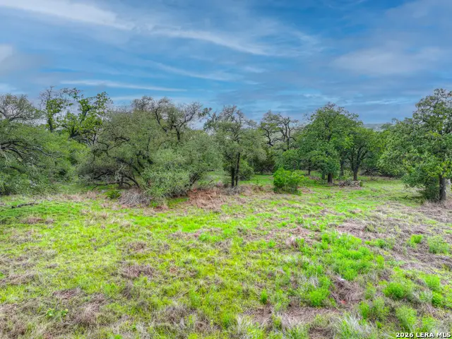 1251 Trailhead, New Braunfels, TX 78132 - #2