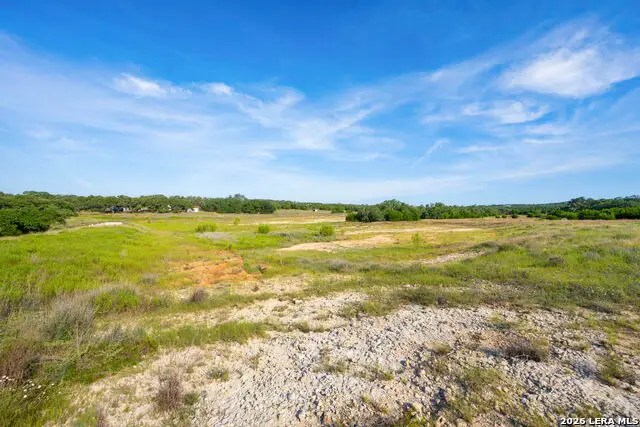 705 Roland Run, Bulverde, TX 78163 - #3