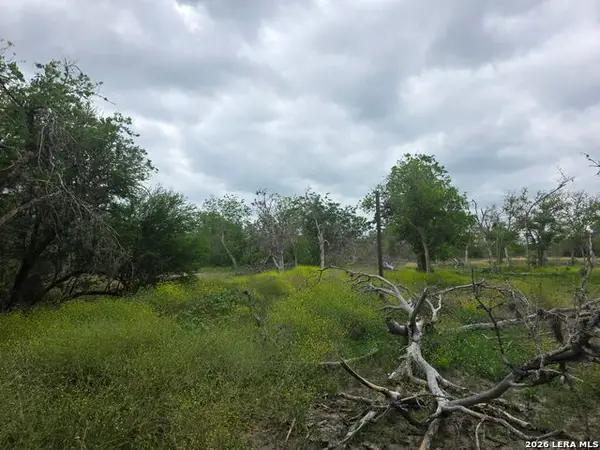 2328 E Chavaneaux, San Antonio, TX 78214