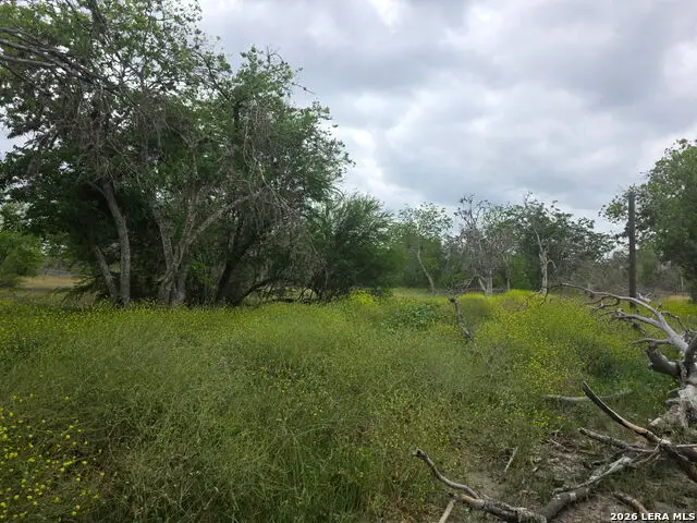 2328 E Chavaneaux, San Antonio, TX 78214 - #3