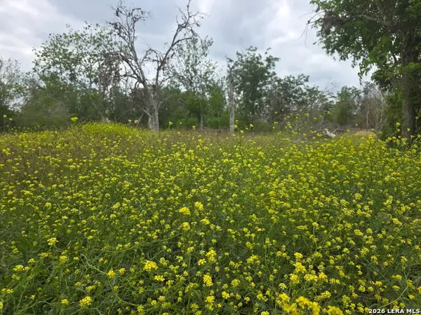 2324 E Chavaneaux, San Antonio, TX 78214