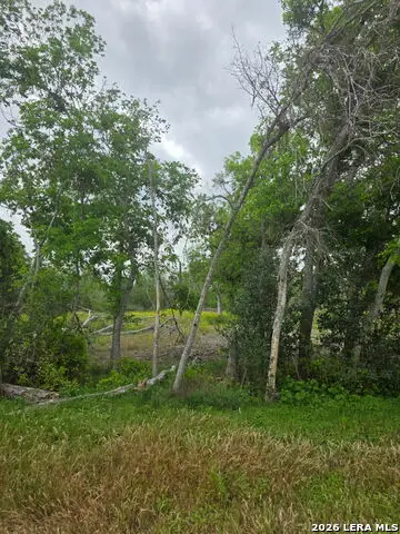 2324 E Chavaneaux, San Antonio, TX 78214 - #3