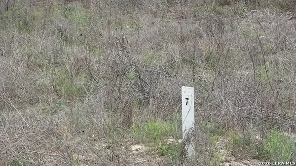 22823 Cherry Rock, Elmendorf, TX 78112