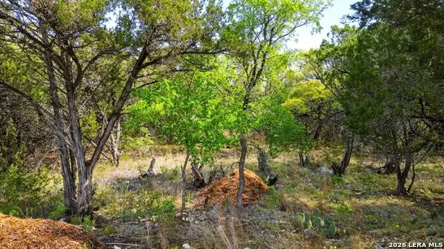 37 Stardust, Wimberley, TX 78676 - #3