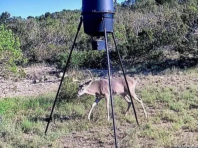 TBD High Lonesome, Comstock, TX 78837 - #2