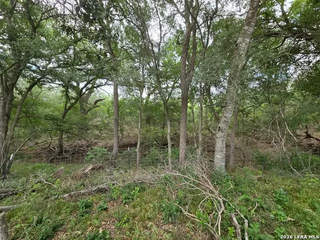 124 Elm Country Dr, La Vernia, TX 78121 - #3