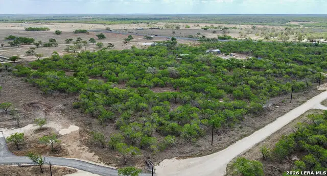 247 Western Ln, Leesville, TX 78122 - #3