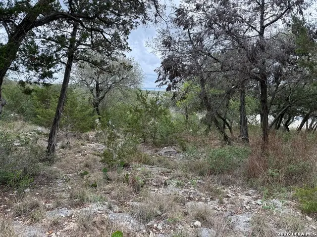 1113 Keystone, Canyon Lake, TX 78133 - #2