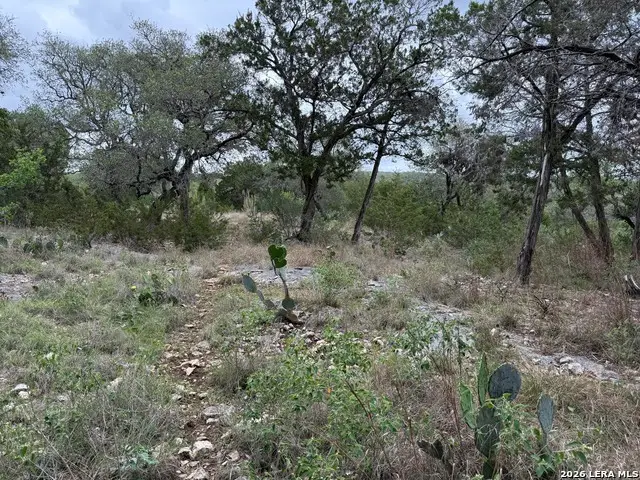 1113 Keystone, Canyon Lake, TX 78133 - #3