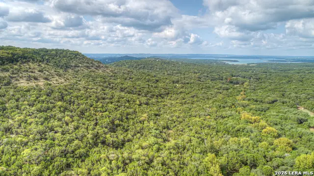 852 Crystal Peak, Fischer, TX 78623 - #1