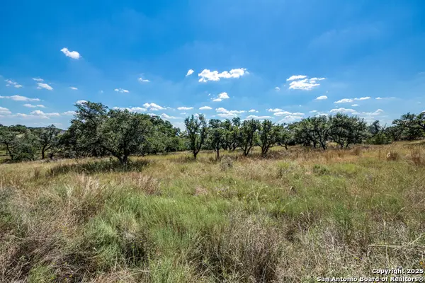 190 Fallen Acorn Dr, Blanco, TX 78606