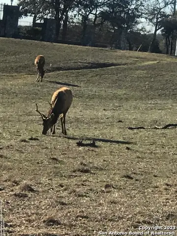 LOT 49 Elk Mountain Ranch, Pipe Creek, TX 78063 - #2