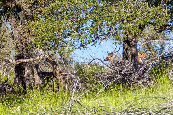 TBD Hwy 39, Hunt, TX 78024