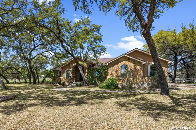 128 Bucks, La Vernia, TX 78121 - #2