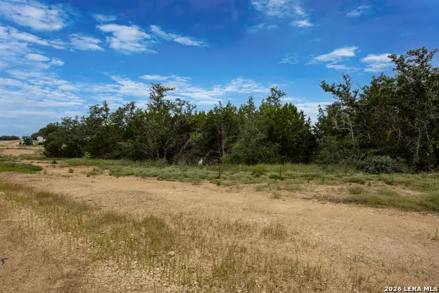 664 Travis Forest Dr, Bulverde, TX 78163 - #3