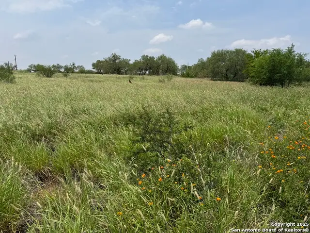 2300 S Interstate 35, Cotulla, TX 78014 - #2