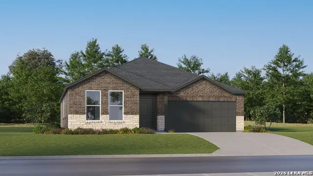 1933 Black Stork, New Braunfels, TX 78130 - #2