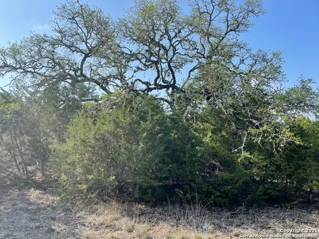 1865 Stallion Springs Dr, Fischer, TX 78623 - #2