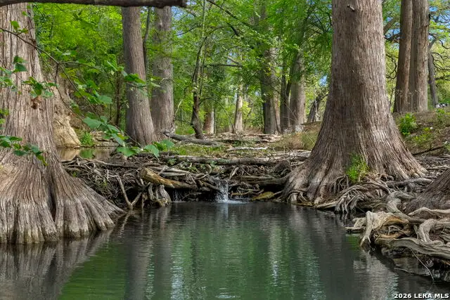 608 N Creek Rd, Comfort, TX 78013 - #1