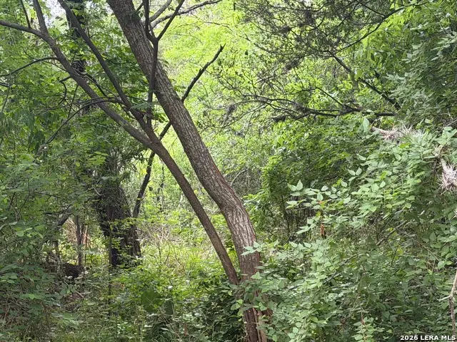 6197 Ranch Road 1120, Leakey, TX 78873 - #3